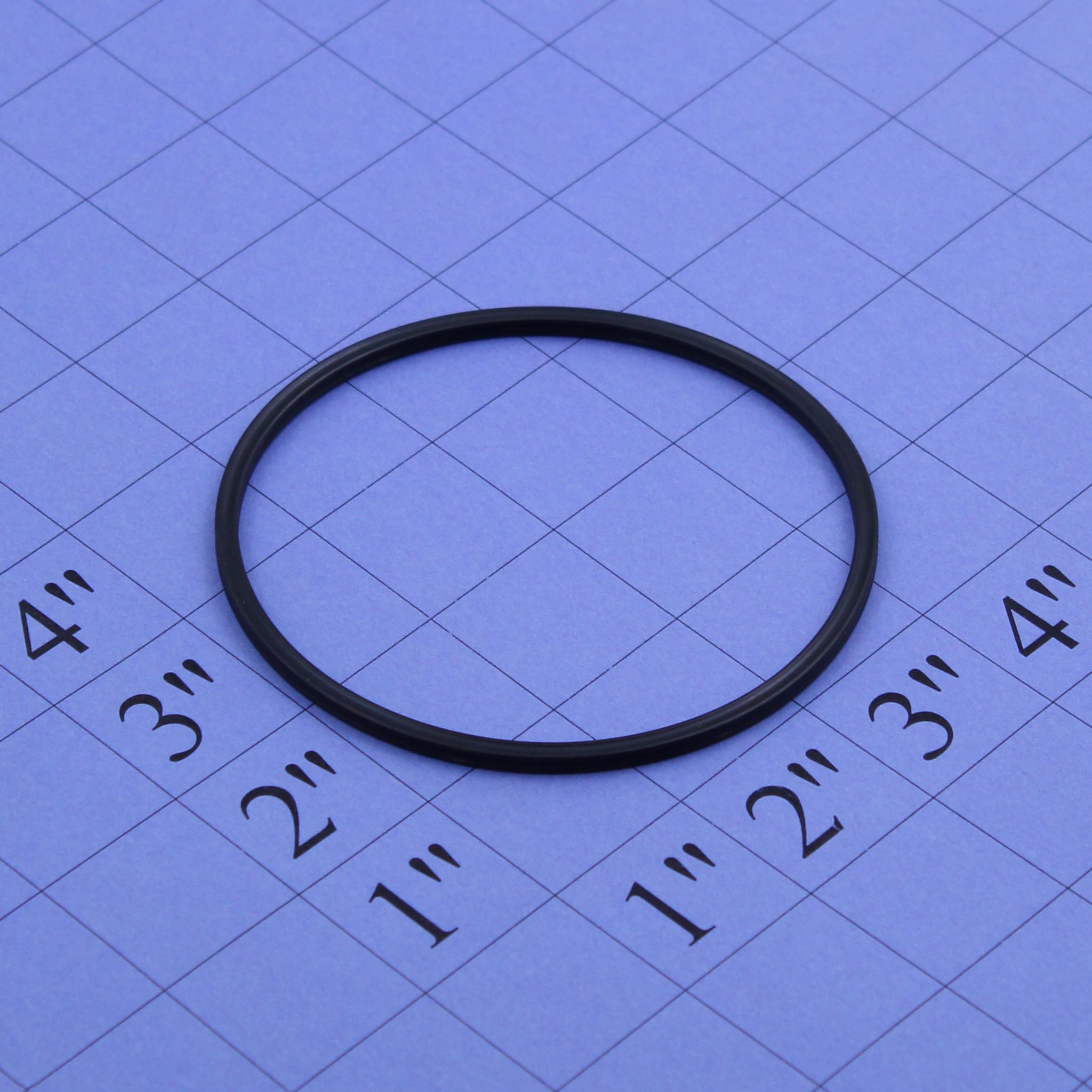 NANOpure II ORing Canister Gasket Labstrong Strength through